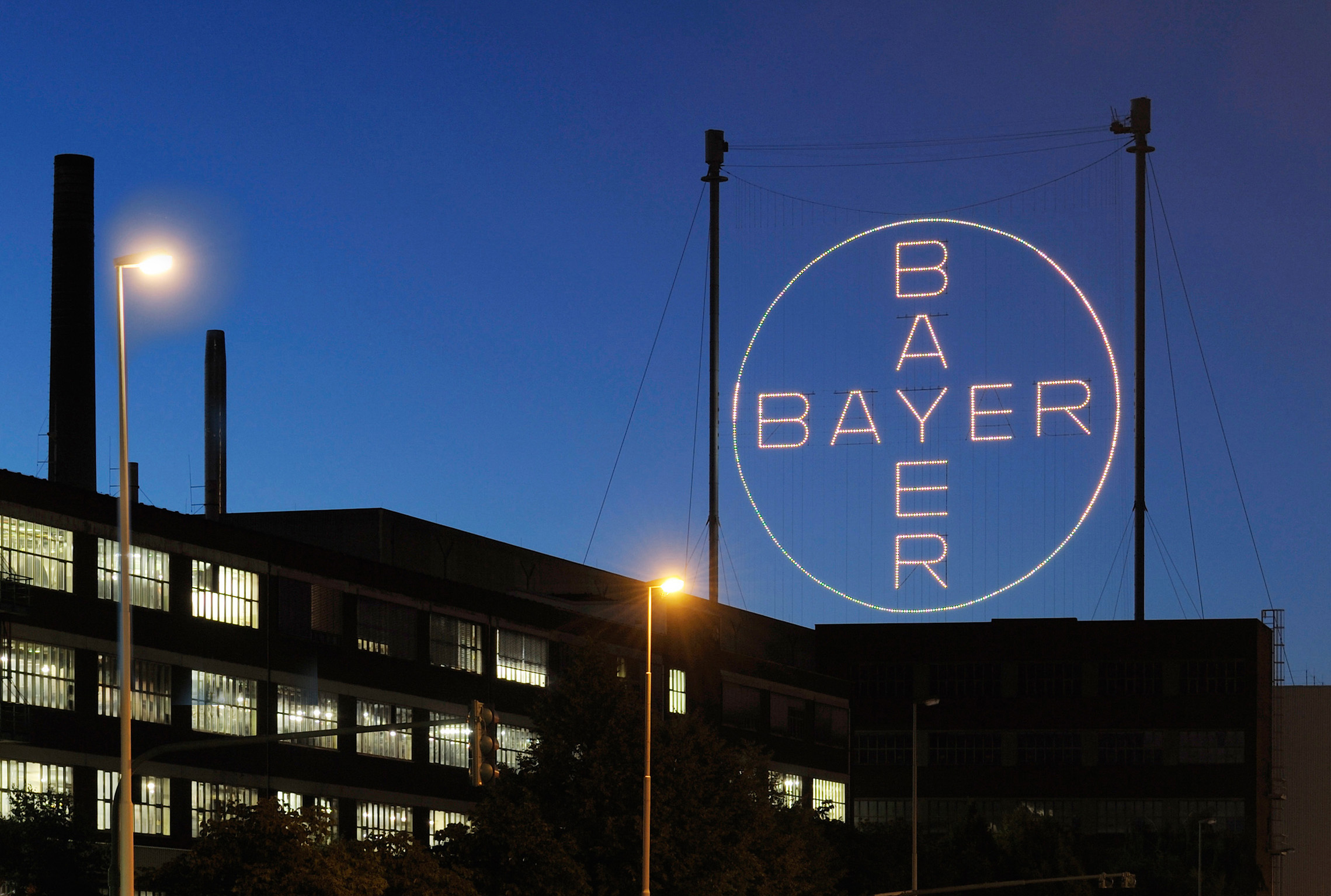 bayer